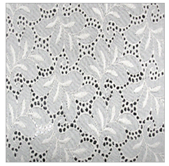 Schiffili embroidered lace